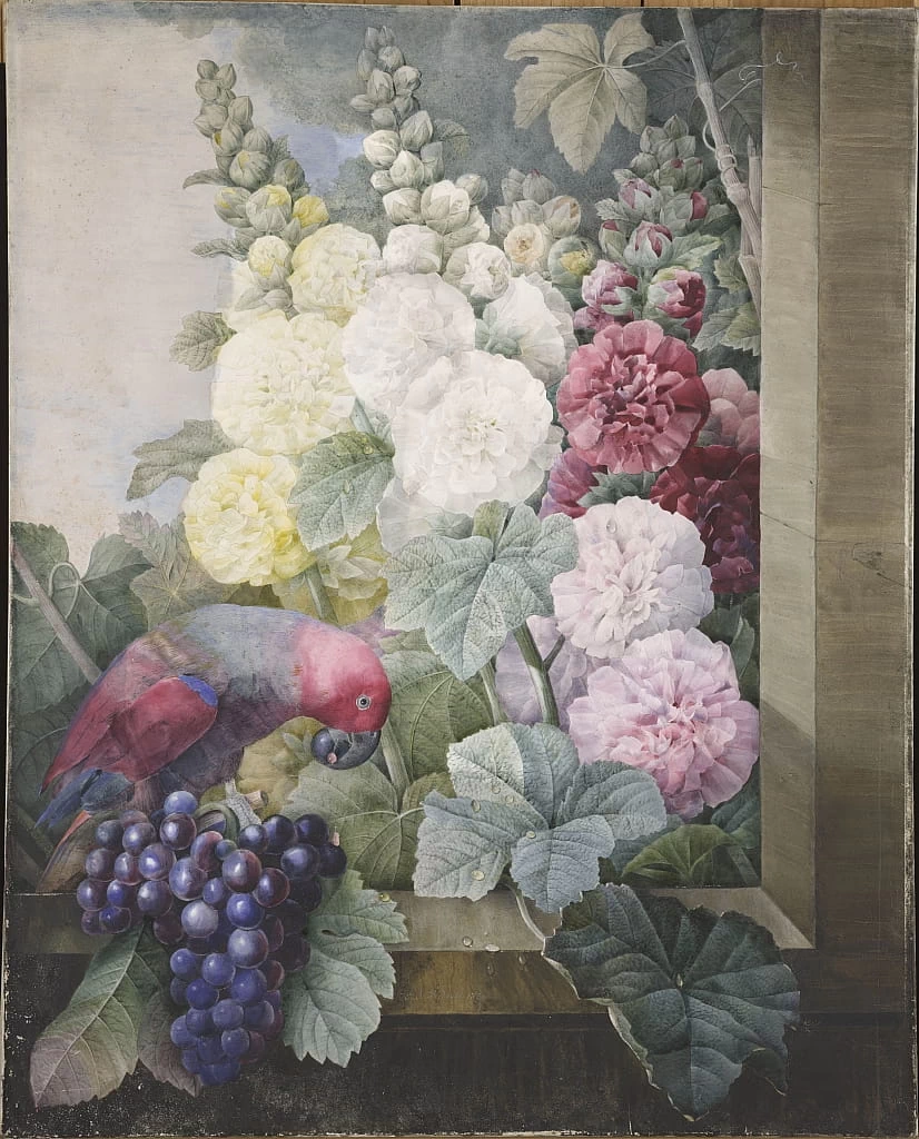 Pierre Joseph Redouté - 148, Bucaneve, uva e un pappagallo, 1836